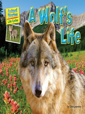 cover image of A Wolf's Life